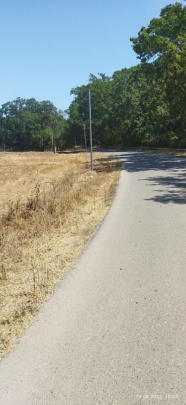 satiliq evler 2019: 28 sot, Biznes üçün, Mülkiyyətçi, Kupça (Çıxarış) — 2
