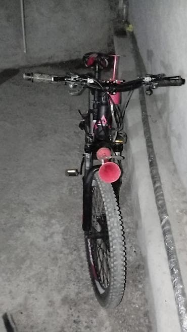 Velosipedlər: Satram normal vezyetdedi 24 luydu. Saraydadi — 3