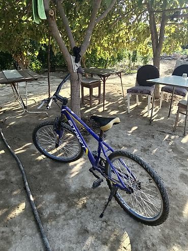 velosiped ucuz: START markalı velosiped. Gövdə üzərində “2401” modeli qeyd olunub — 2