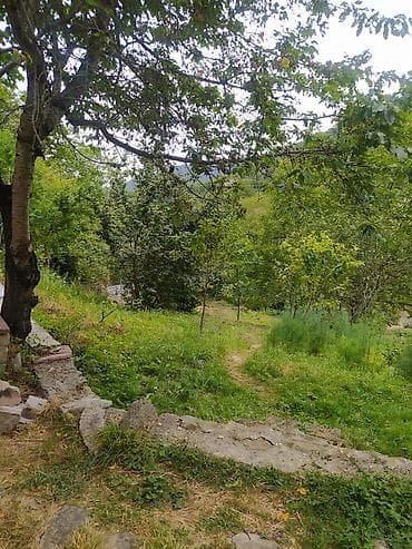 sabuncu ev: Dağ-meşə mənzərəli kənd evi – qonaqlama üçün - Yaşıllıqla əhatə — 6