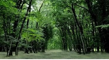 pronto mmc neftciler: 12 sot, Kənd təsərrüfatı — 4