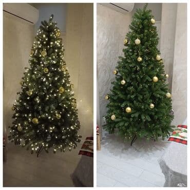 8561 //& Lamie Yolka baha alınıb,Tailand modelidir,temiz plasmas lalafo.az -da 8561 //& Lamie Yolka baha alınıb,Tailand modelidir,temiz plasmas