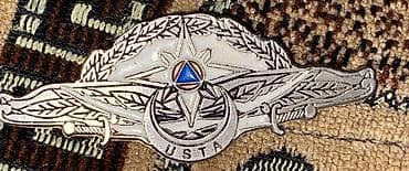 Metal nişan – “USTA” yazılı, mərkəzdə üçbucaq formalı mavi emblemi