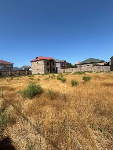 Tikinti, Mülkiyyətçi