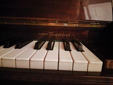 rönisch piano: Пианино, Rönisch, Акустический — 4