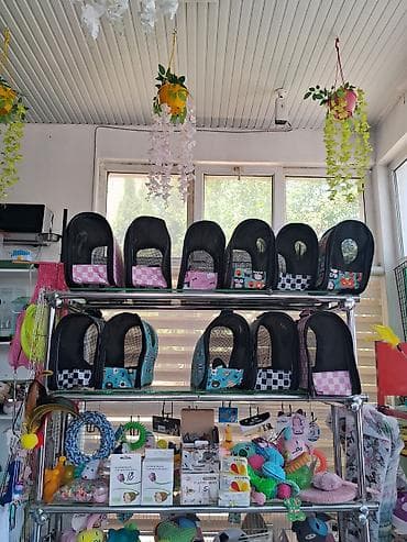 İtlər: Zoo mallar — 6