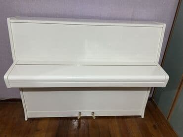 прокат плейстейшен 5: Пианино, Petrof, Акустический — 11