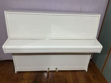 пианино: Пианино, Petrof, Акустический, Новый, Бесплатная доставка — 9