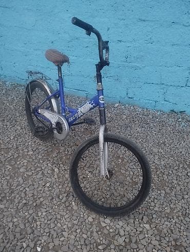 İki təkərli Uşaq velosipedi Desna, 24", sürətlərin sayı: 1