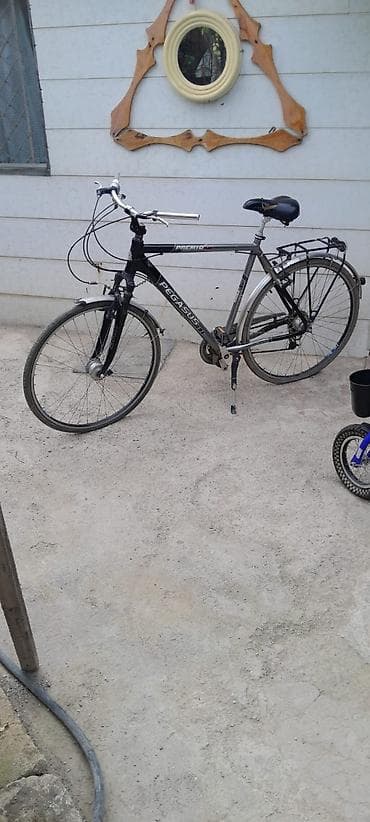 velesobed: Pegasus Premio (Alu) şəhər/trek velosipedi - Yüngül alüminium gövdə - — 1