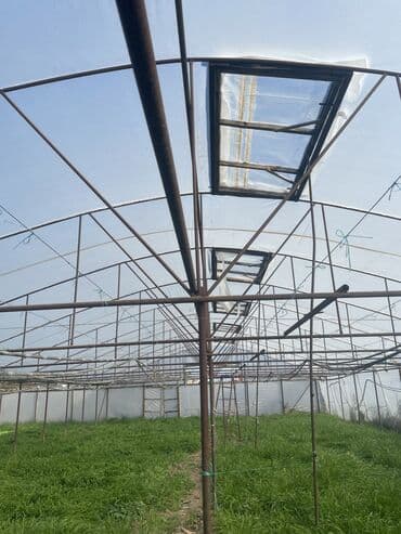 moyka arendaya verilir 2023: İstixana satılır 12 sotdur — 1