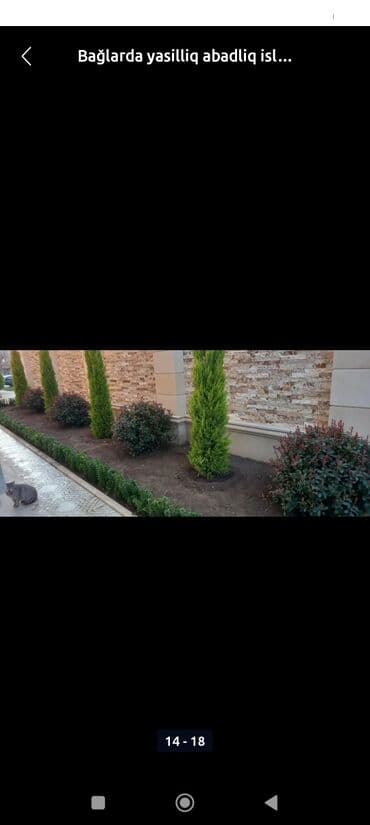 i̇ş elan: Продавец-консультант требуется, Любой возраст, Без опыта, Ежемесячная оплата — 8