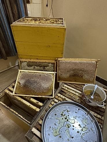 İçkilər: Süzülmüş təmiz dağ balı. Öz istifadəmiz üçün saxlayırıq artıq olanı — 3