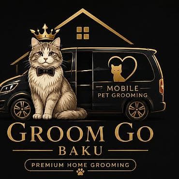 Groom Go Baku – Premium Home Grooming (Bakı daxilində) Pişiyinizin