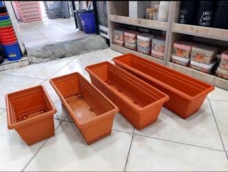 kaybolan yıllar 50: Dibcek Dibcek qabi yumru aq rengli gul.qabi yumru aq rengli dibcek — 7