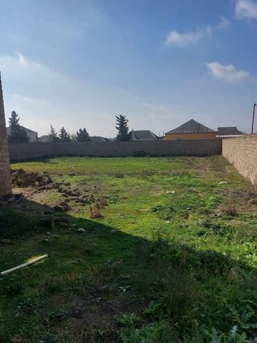 Daşınmaz əmlak: Maklerlər narahat etməsin, Kupça (Çıxarış) — 1