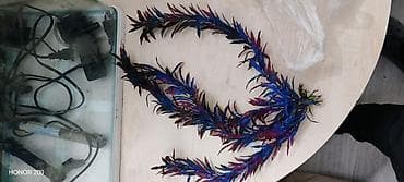 baliqlar: Akvaryum dəsti – tam komplekt Tərkib: - Şüşə akvaryum (üst qapaqla — 4