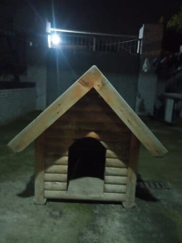 yumurta qoyan heyvanlar: Taxta it evi 100mt×100mt hundurluk 1.15mt — 1