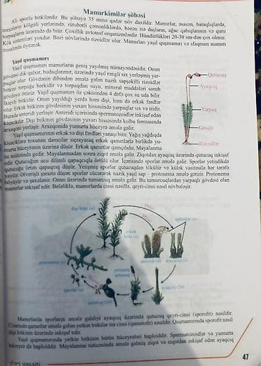 İdman və hobbi: Biologiya 11-ci sinif, 2023 il, Ödənişli çatdırılma — 2