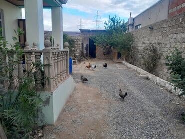 yeni guneslide kiraye evler 2024: Satlıq həyət evi - Tam mülkiyyətli birmərtəbəli fərdi yaşayış evi - — 9