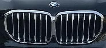 hava ceken: BMW radiator barmaqlığı (böyük “double kidney” ön barmaqlıq) - Rəng — 1