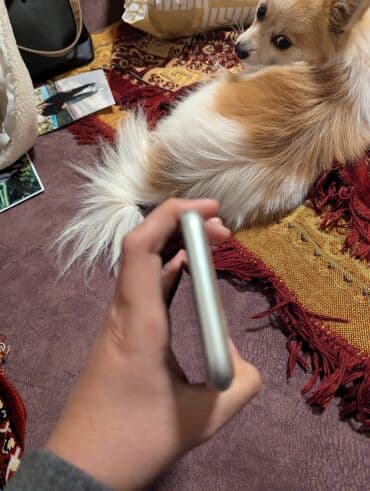 selenium sulfide 2.5 шампунь отзывы: IPhone 11 Gəncə ideal Gəncə də belə ideal telefon yoxdur ZAVOD✅ — 4