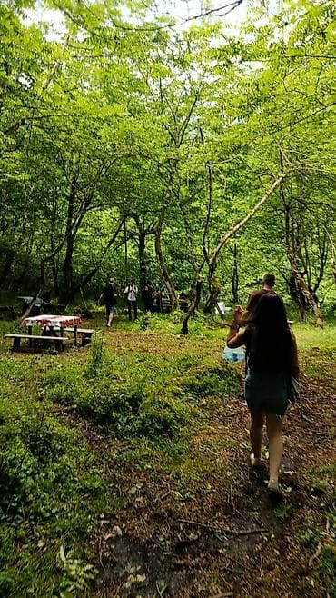 lokbatanda satılan evlər 2021: Təbiət qoynunda istirahət üçün uyğun bağ evi və həyət sahəsi. Evin hər — 2