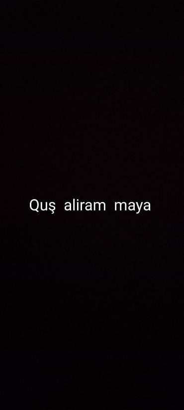 it dami satilir: Göndərə bilən yazsin — 1