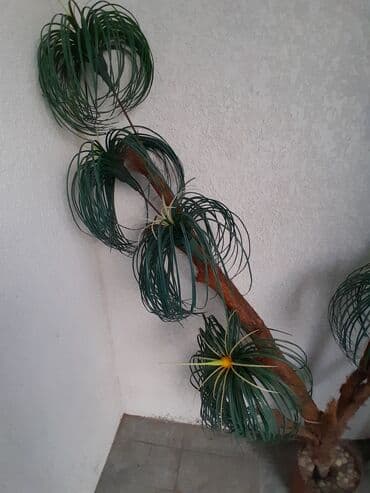 süni ağac: Ev üçün dekor "Palma" ağacı — 2