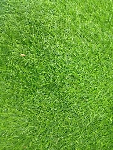 Salam təcili Kirayə ev axdarilir normal şəraitli olsun ünvan Höküməli