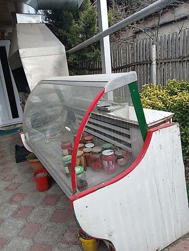 Soyuducu vitrin – mağaza/kafeteriya üçün Məhsul təsviri: - Elektriklə