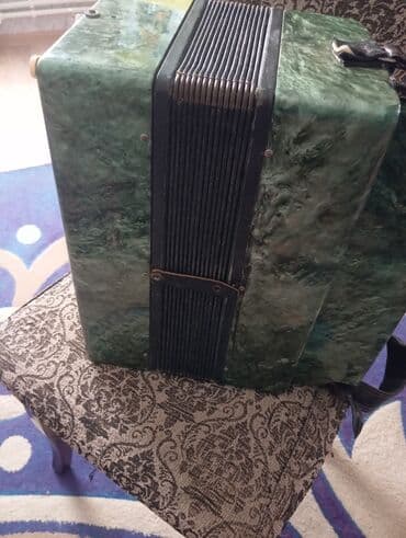 духовой деревянный инструмент: Гармонь, Акустический — 4