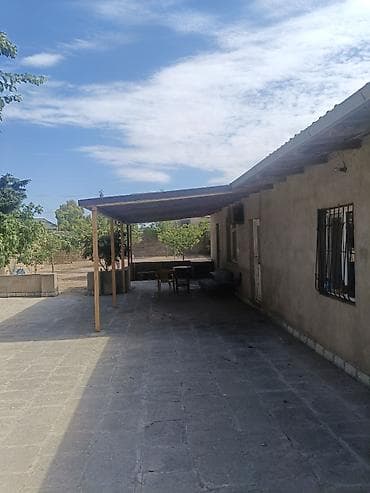 Xashaxuna bagları, Ada məktebinin, və 216 nomreli mektebe yaxin, Socar lalafo.az -da Xashaxuna bagları, Ada məktebinin, və 216 nomreli mektebe yaxin, Socar