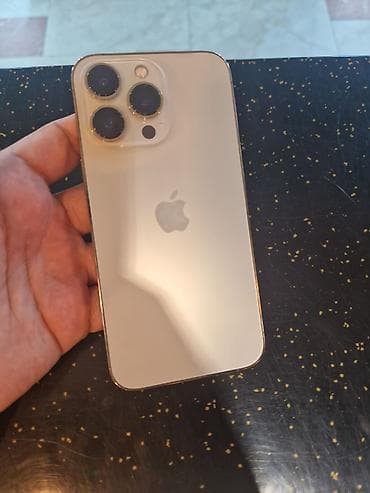IPhone 13 Pro, 256 ГБ, Серебристый, Face ID