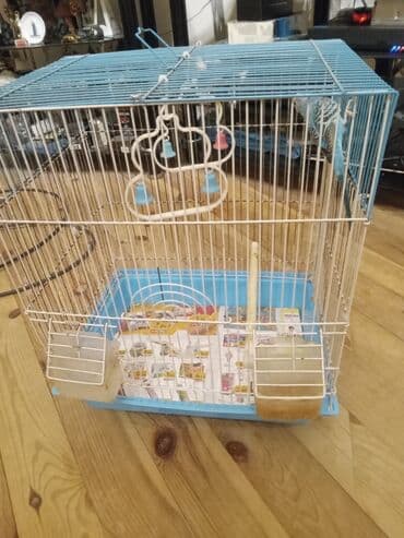 Yemlər: Dalmat çöl quşu (buda ilə birlikdə qəfəsli) Məhsulun təsviri: - Növ — 3