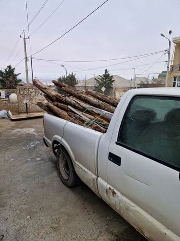 masin lada: Chevrolet S-10 pikap, ağ rəng. - Kuzov: tək kabina, uzun yük bölməsi — 4