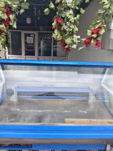 soyuducu rele: Soyuducu vitrin (şiriniyyat/ət/süd məhsulları üçün) - Ön və yanları — 1