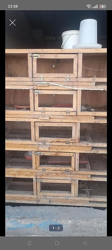 Digər heyvanlar: Çoxmertebəli taxta qəfəs sistemi - Material: möhkəm taxta karkas, ön — 1