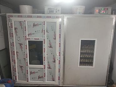 inkubator kreditle: Bütün növ quşlaq üçün — 2