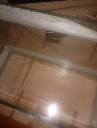 akvarumlar: Akvaryum şüşə qutular - Material: şəffaf şüşə, silikonla — 7