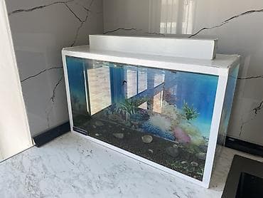 akvarium altligi: Dördbucaq akvarium, Boş, 15 l, Ünvandan götürmə — 1