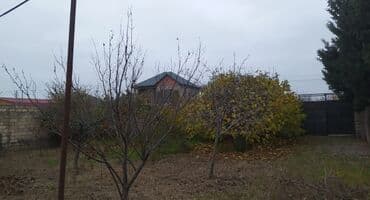 pirşağı torpağ: 10 sot, Biznes üçün, Mülkiyyətçi, Kupça (Çıxarış) — 3