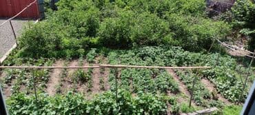 qarayevde 1 otaqli kiraye evler: 300 kv. m, 3 otaqlı, Kombi, Qaz, İşıq — 11
