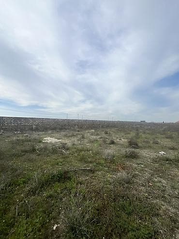 61 sot, Biznes üçün — 7