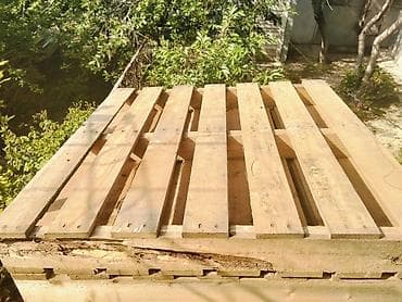 ataturk ciceyi: Pallet, 1100 x 1100 sm, Ödənişli çatdırılma — 2