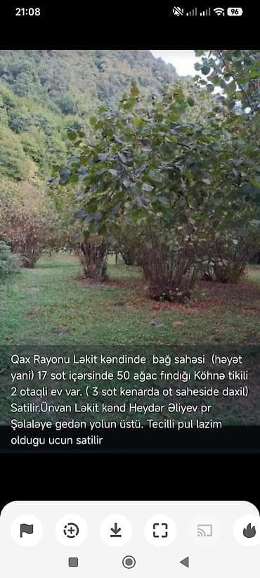 Kənd təsərrüfatı, Mülkiyyətçi