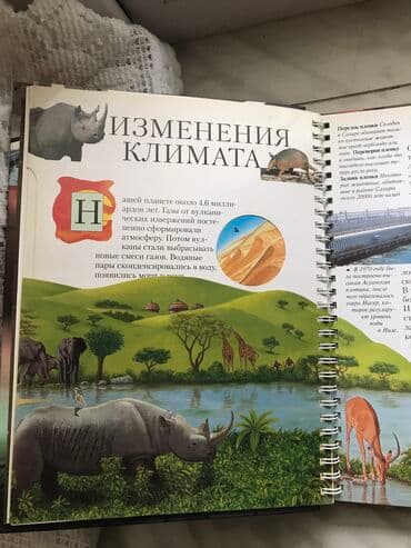 5 ci sinif informatika metodik vesait: Книжка для детей — 2