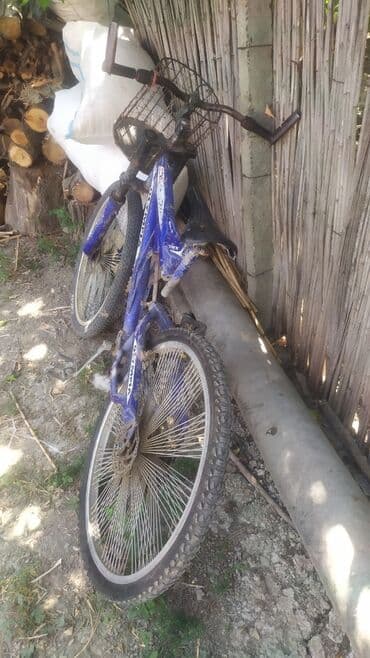 холодильник для автомобиля: IPhone 17 Pro Max, < 16 ГБ, Desert Titanium, Гарантия, Кредит, Битый — 9