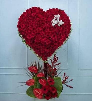 ucuz gullər: 101 Roza🌹120₼ 60 sant - Qırmızı qızılgül buketi: sıx və həcimli — 9