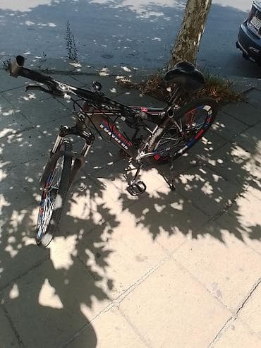 velosiped kameri: Velocruz 24 lük velosiped velosiped sürülüəcək vəziyyətdədir birdənə — 4